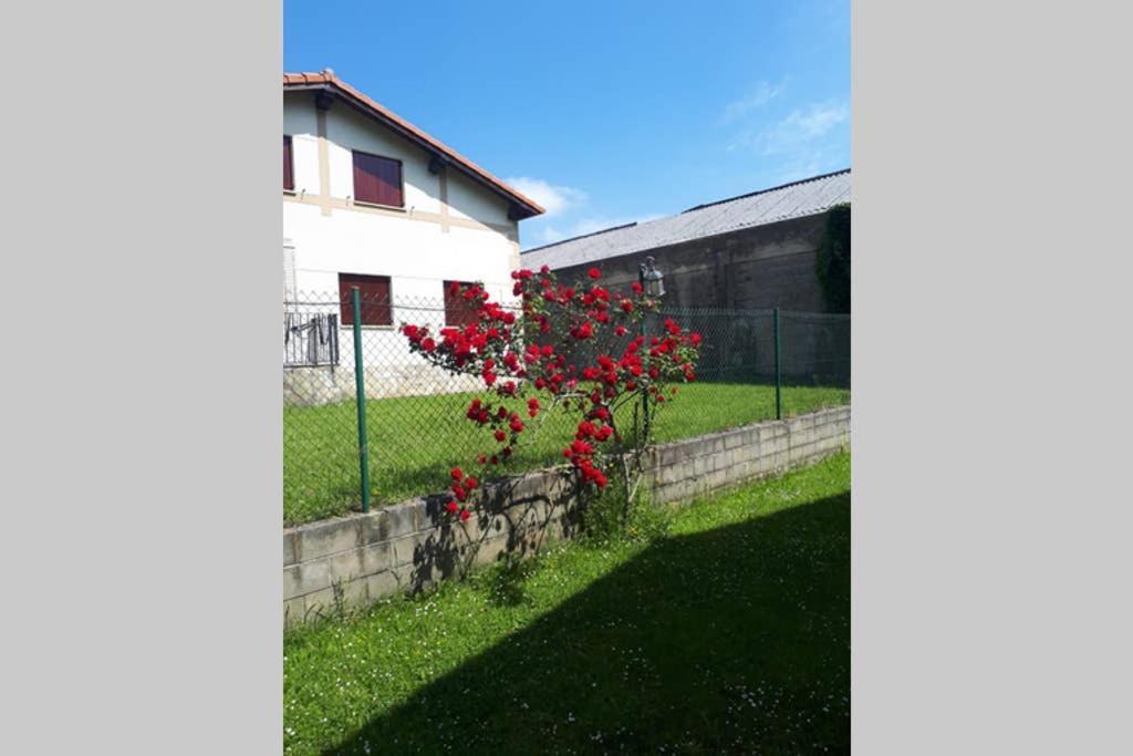 Chalet Familias 10 Huespedes Beranga Noja Playas, Mascotas Bienvenidas 외부 사진